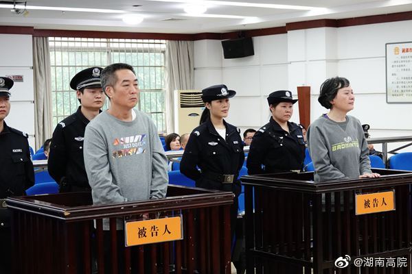 周国利最新动态，日常趣事与温馨瞬间回顾