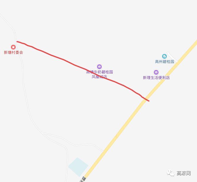 高州614县道最新消息,高州614县道最新消息