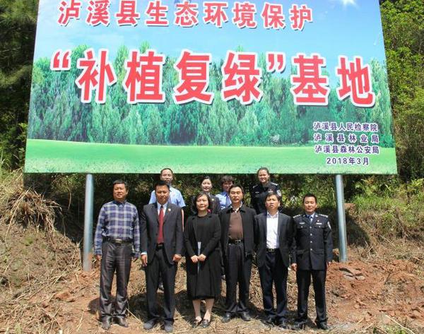 泸溪公安局最新消息,泸溪公安局最新科技动态，智能革新，护航未来