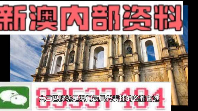 2024新澳精准正版资料,实践调查说明_界面版20.917