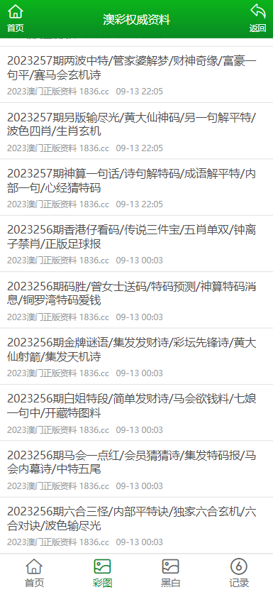 2024年新澳门正版资料,完善实施计划_按需版58.710