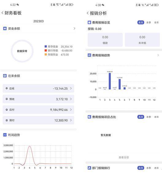 202管家婆一肖一码,执行机制评估_锐意版3.891
