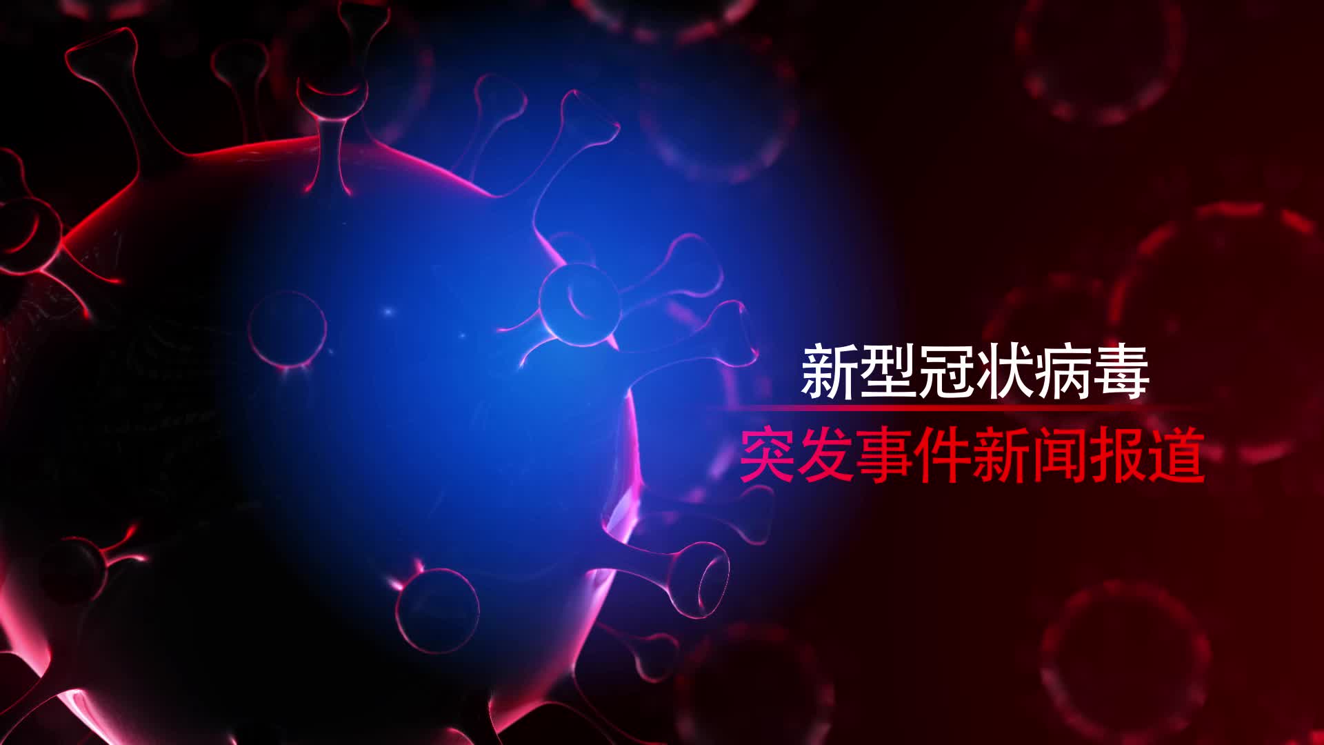 最新病毒资讯更新，病毒动态一览