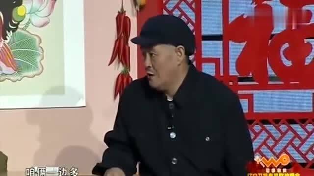 刘小光2017新作小品，观赏与模仿指南