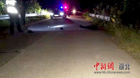 湖北麻城最新交通事故及处理步骤指南