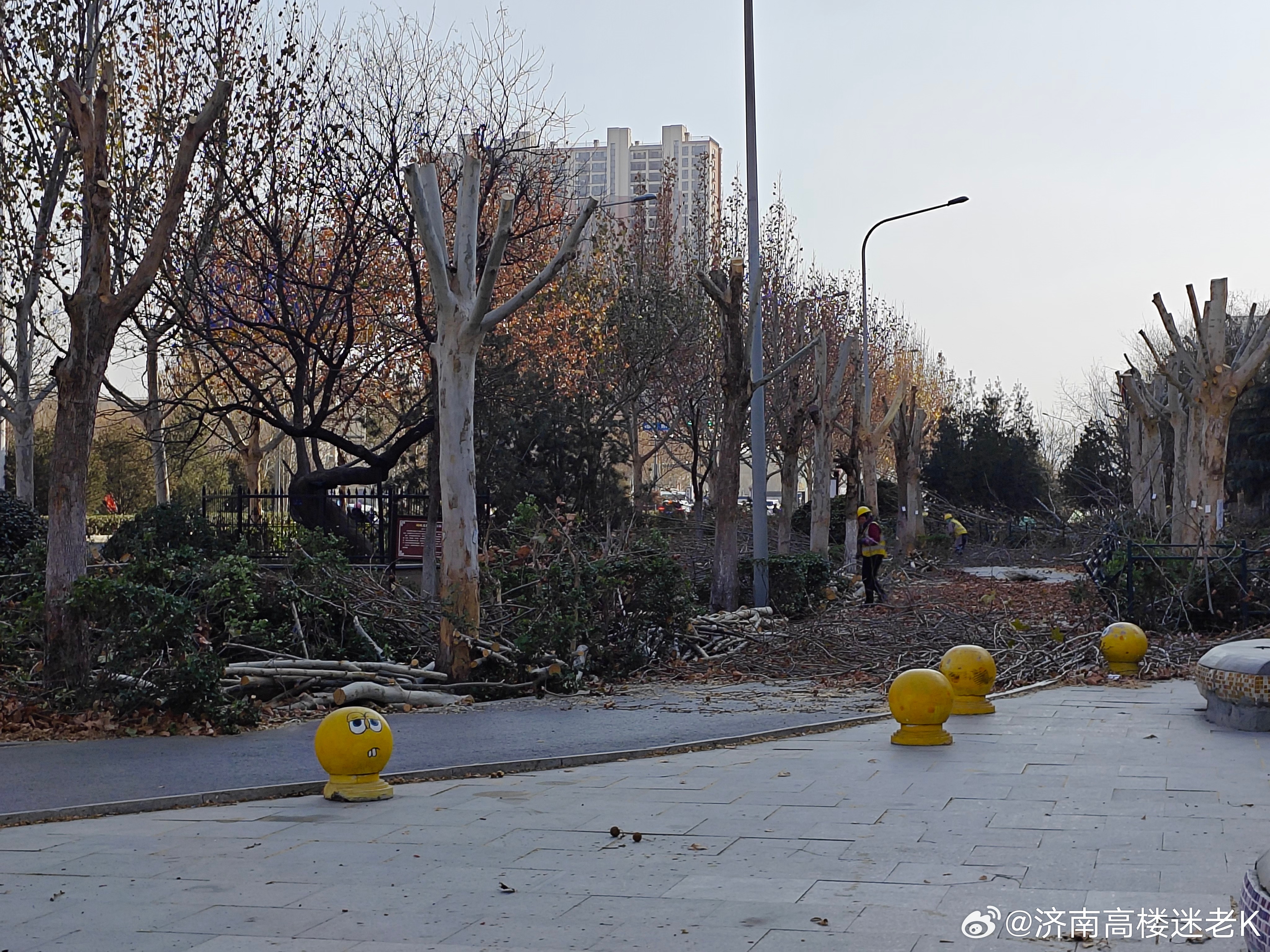 济南凤凰路最新动态更新