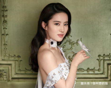 花姓明星