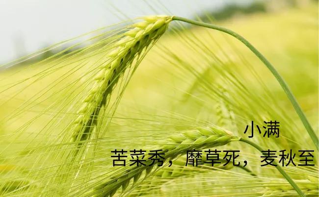 深圳最新天气预报及气象预测