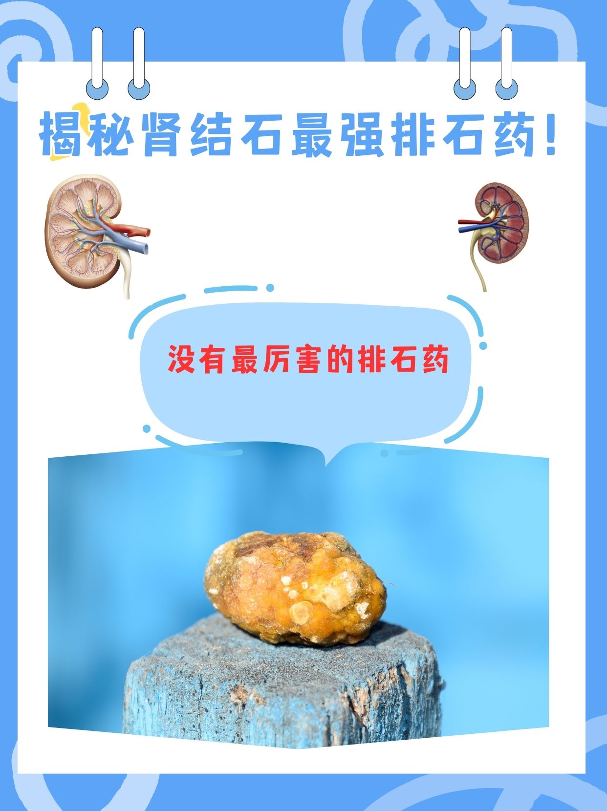 小巷深处的独特宝藏，最新溶石药揭秘