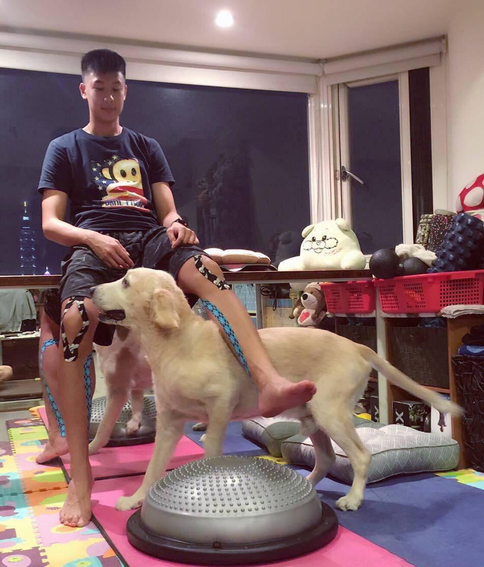 网络热梗下的智慧闪光，最新段子语录汇总