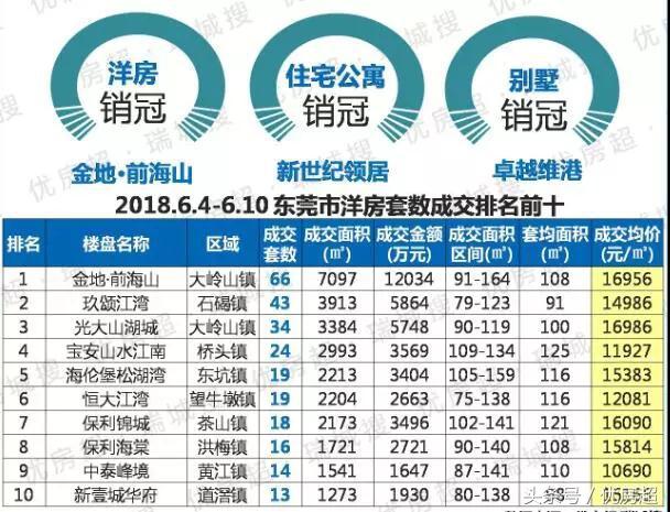 东莞最新报告，城市温情与日常趣事揭秘