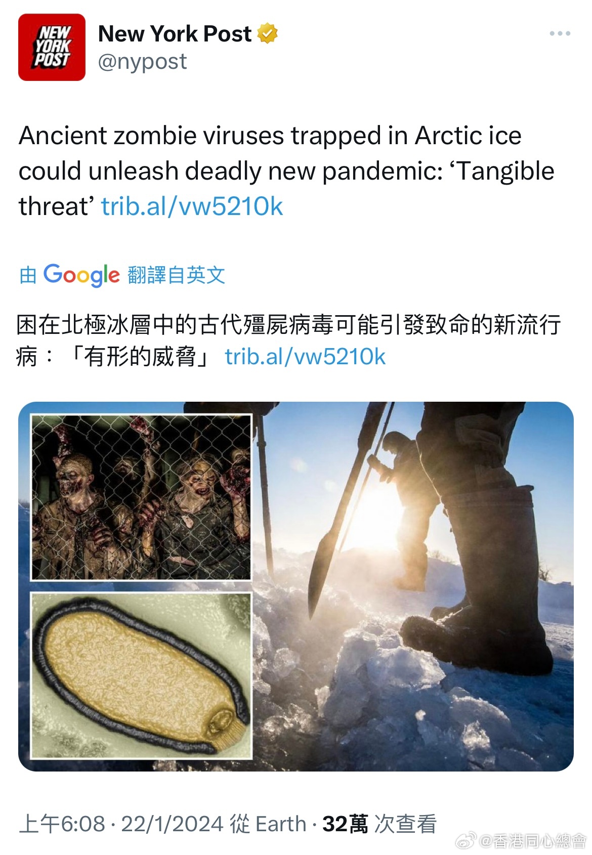 北极融化现象下的暖心故事