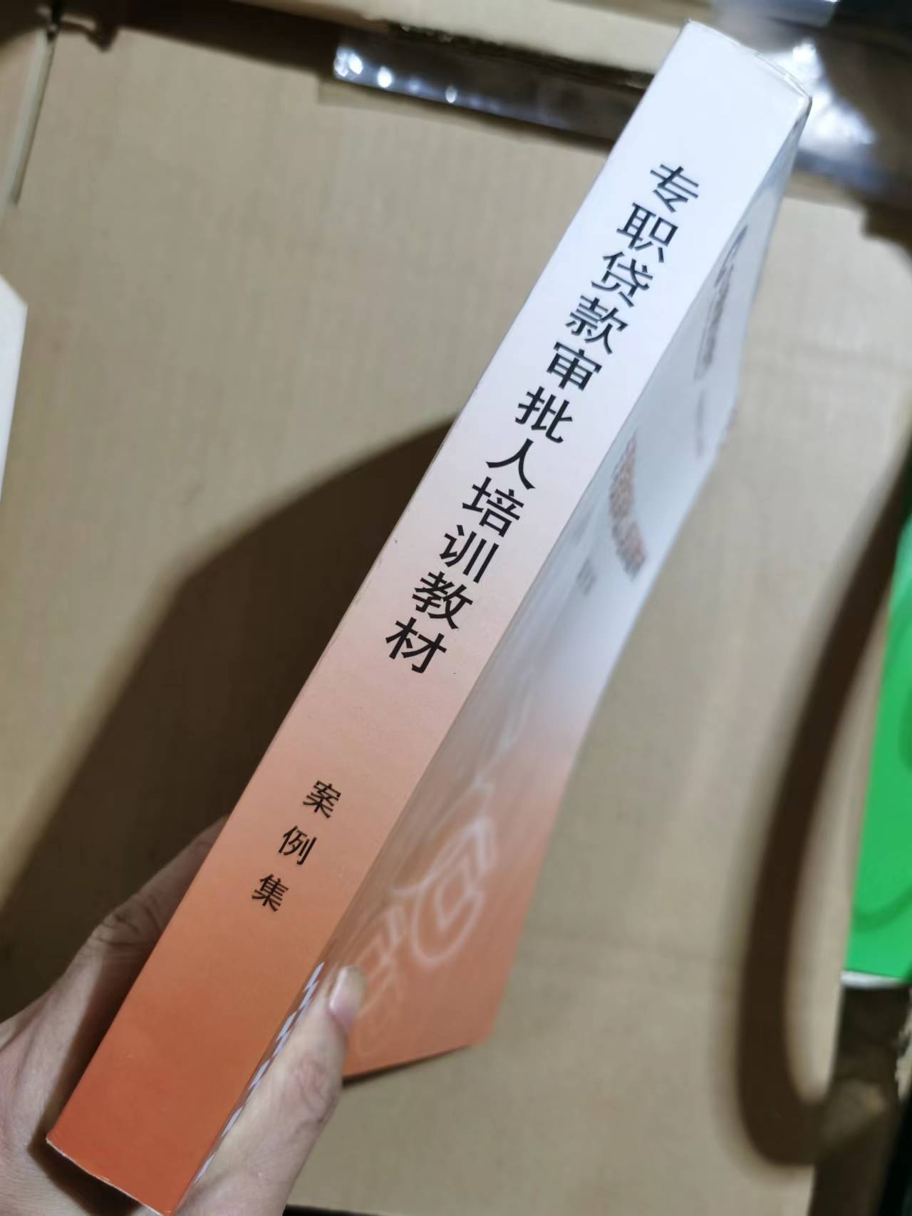 最新培训书概览，聚焦要点、趋势与发展，引领学习成长之路