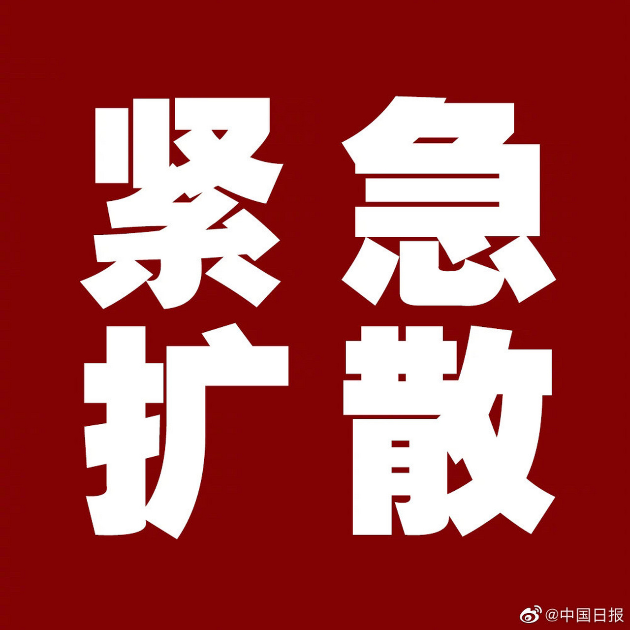 探访隐藏瑰宝，小巷特色小店的紧急探访记