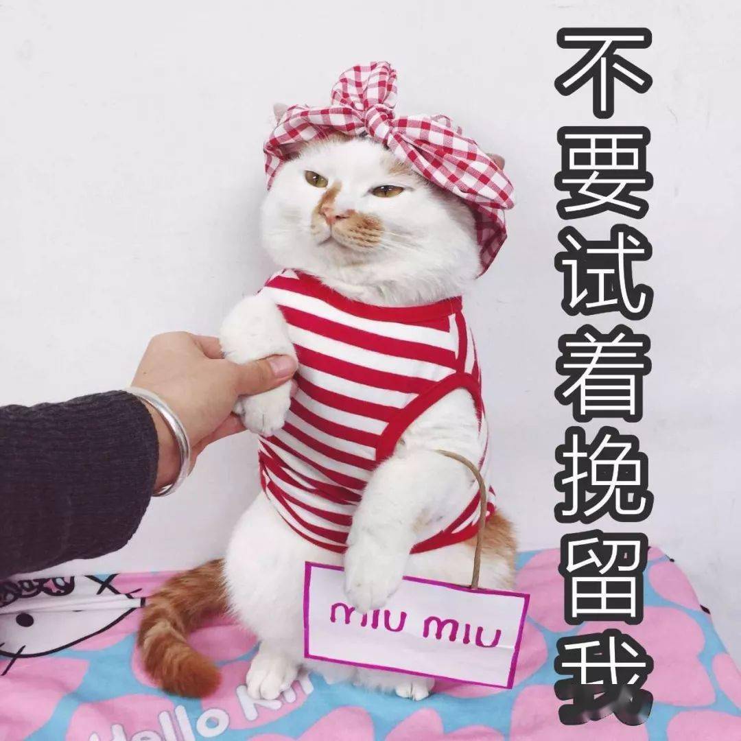 信息时代的双刃剑，如何看待偷偷要最新现象？