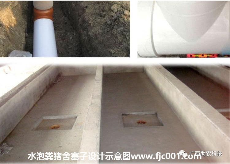 农业技术新焦点，水泡粪技术的审视与反思